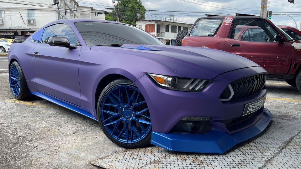 Concord Grape Plasti Dip on a customer car
