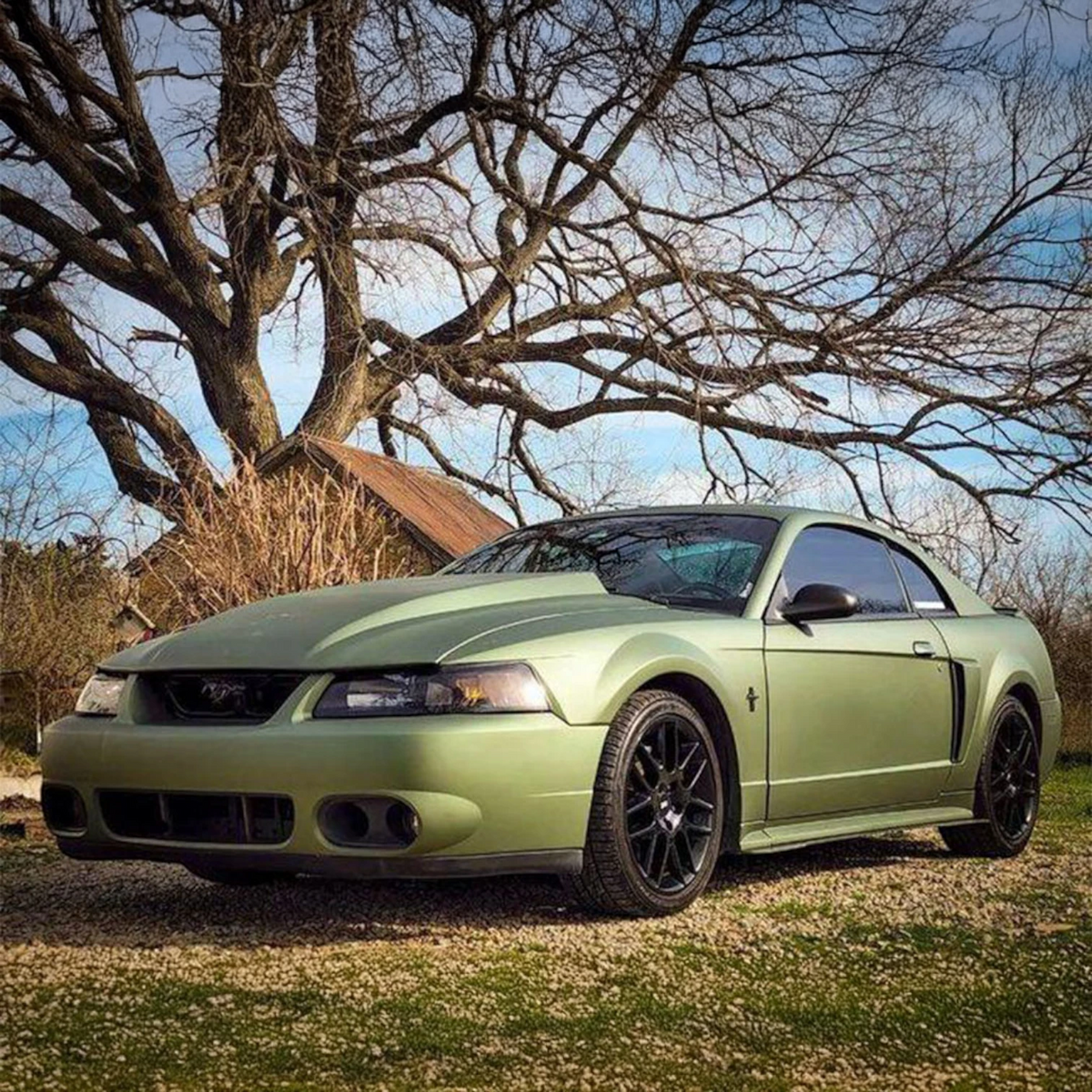 Army Green Plasti Dip on a customer car