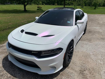 Mardi Gras Peelable Car Kit