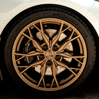 Bronze Gold Wheel Kit