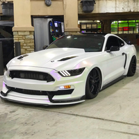 Mardi Gras Peelable Car Kit