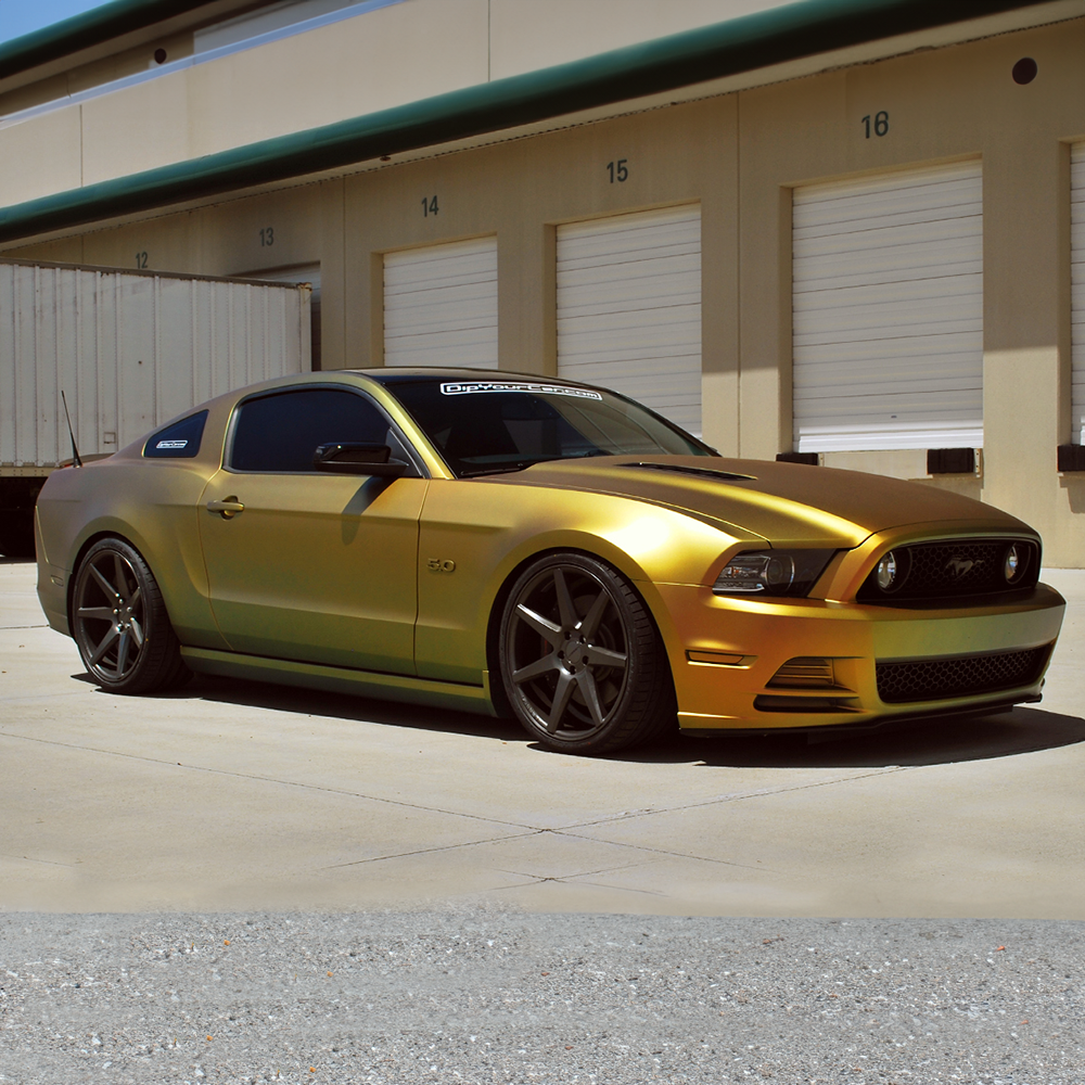 Reptile Car Kit – DipYourCar.com
