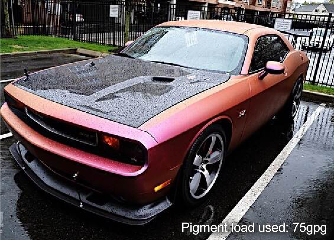 Anthias Plasti Dip on a customer car