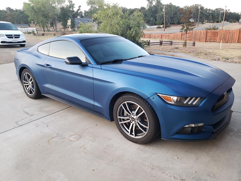 Dude Blue Car Kit