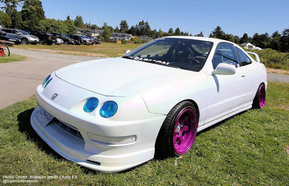 Mardi Gras Peelable Car Kit